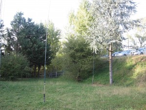 IMG_0017