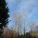 20140125.006r