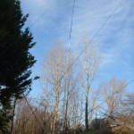 20140125.007r