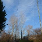 20140125.008r